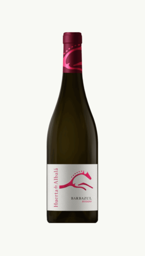 Barbazul Rosado Syrah 2023 - 0,75L