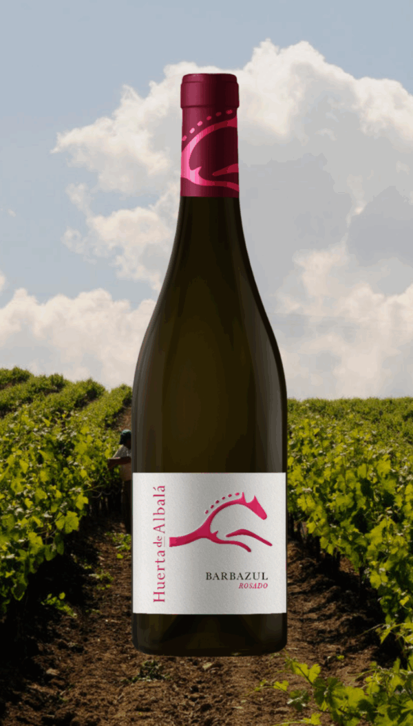 Barbazul Rosado Syrah 2023 - 0,75L