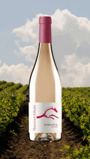Barbazul Rosado Merlot 2024 - 0,75L