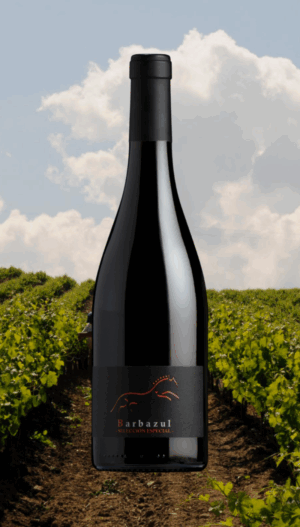 Barbazul Selección Especial 2020 - 0,75L