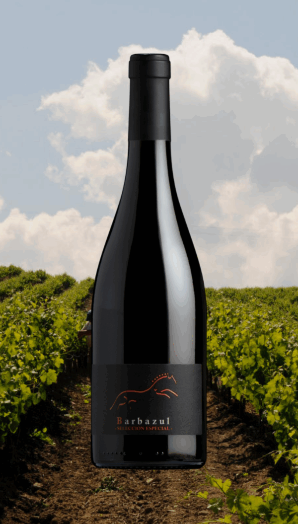 Barbazul Selección Especial 2020 - 0,75L