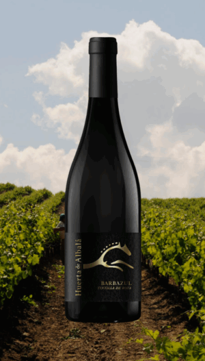 Barbazul Tintilla de Rota 2023 - 0,75L