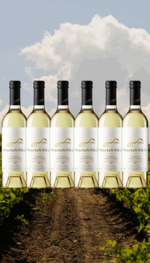 Taberner Blanc de Noir 2024 – Pack 5+1 (0,75L)