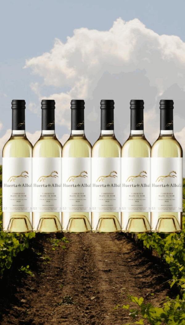 Taberner Blanc de Noir 2024 – Pack 5+1 (0,75L)