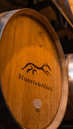 Bono Visita con maridaje / Visit with pairing