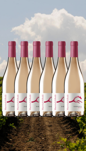Barbazul Rosado Merlot 2024 – Pack 5+1 Botellas (0,75L)